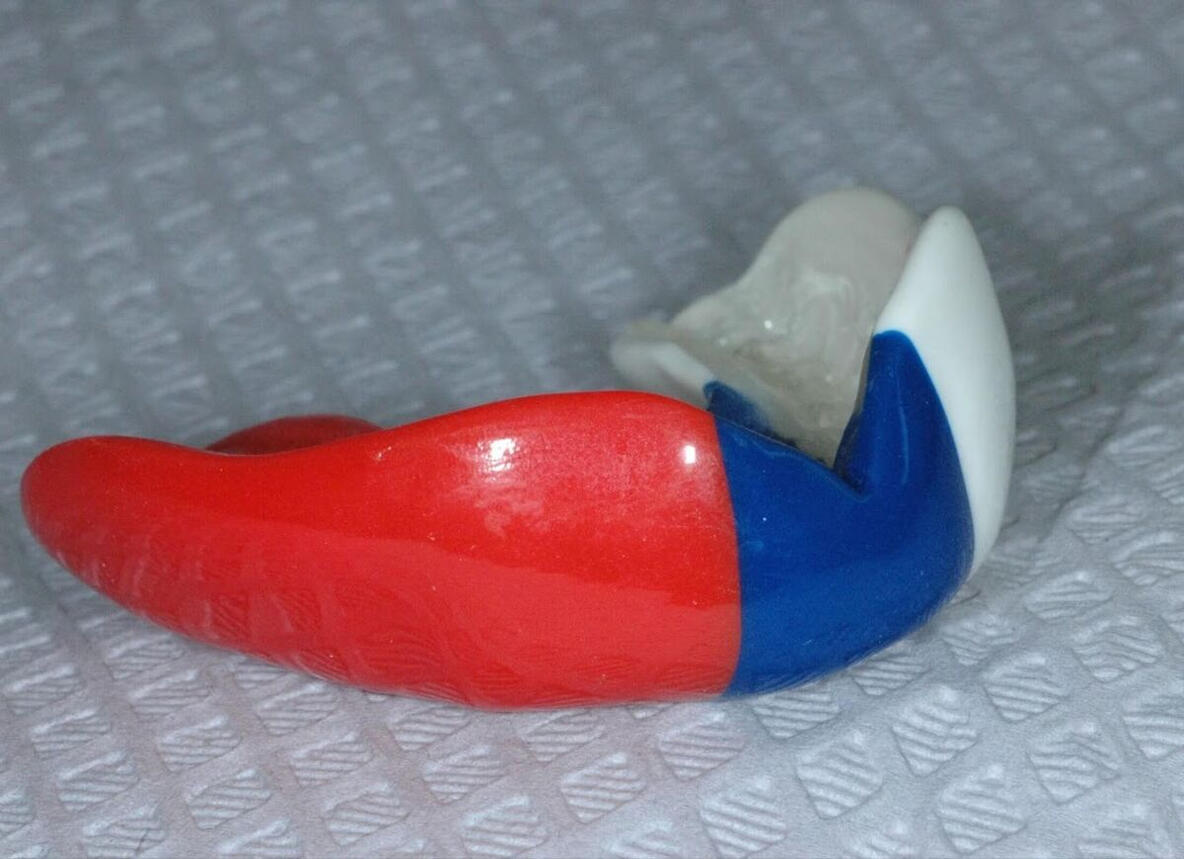 Mouth Guard Image